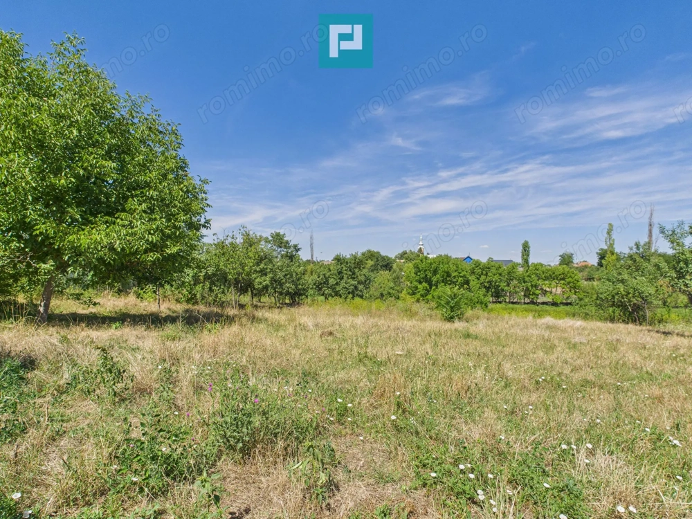 Teren 4919 mp– Comuna Călacea