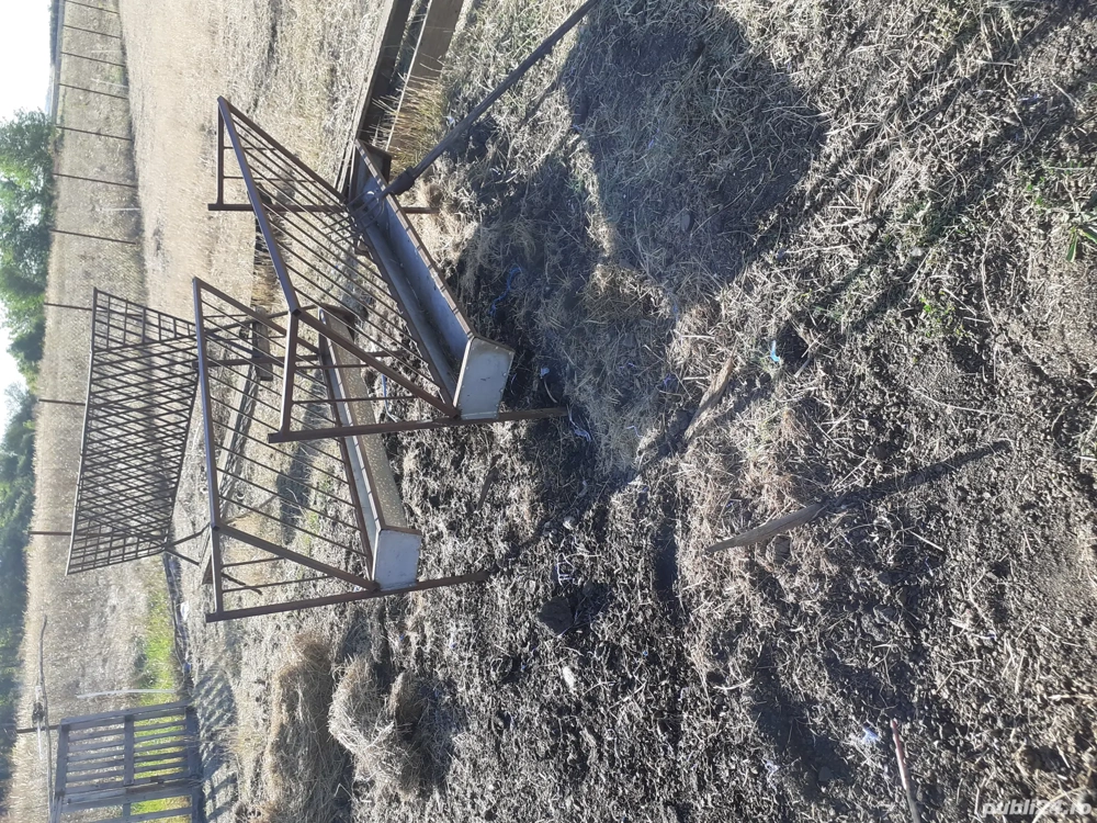 vind hranitoare oii vind hranitoare oii