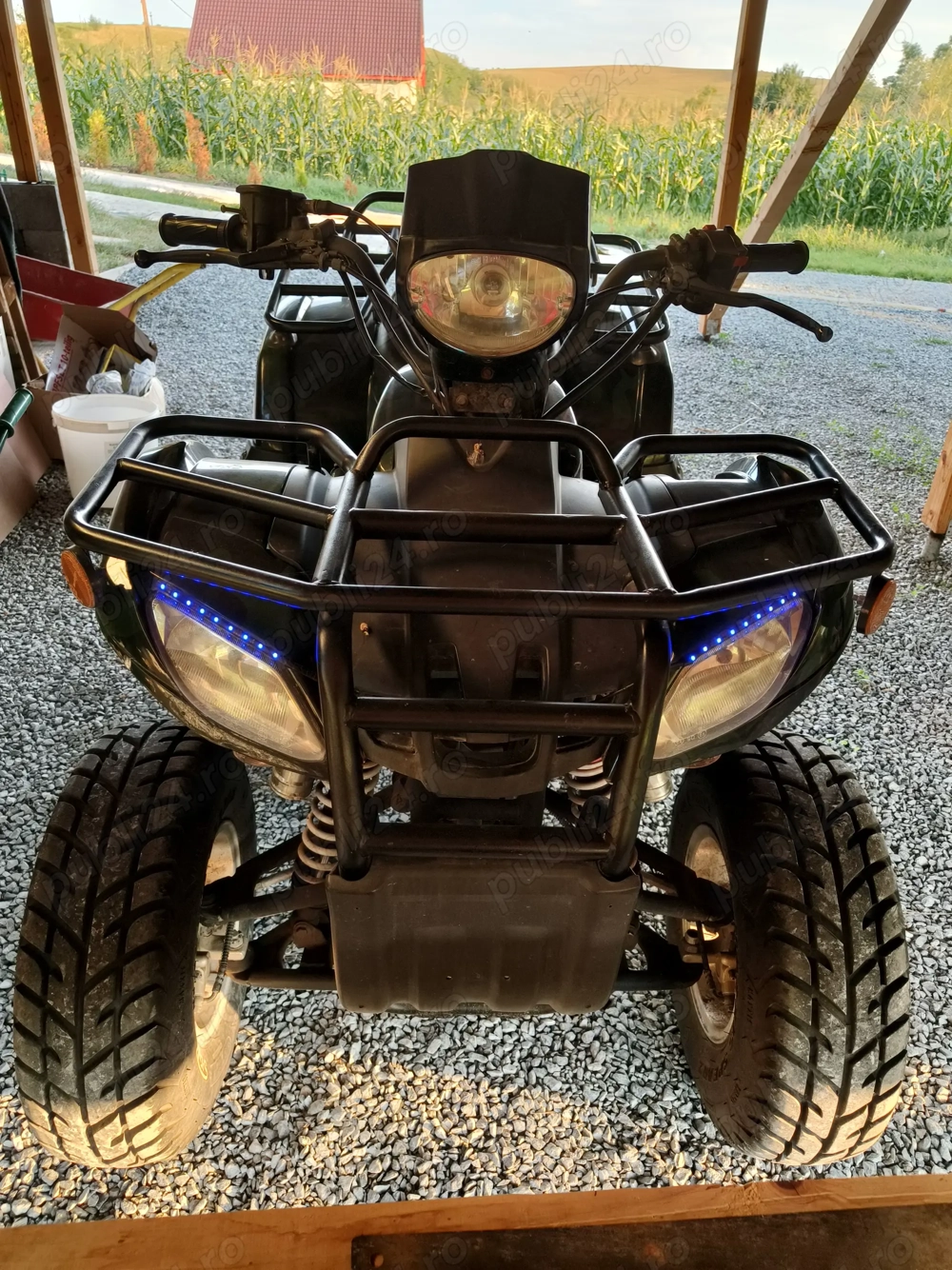 Vand ATV 250 cc  Forester
