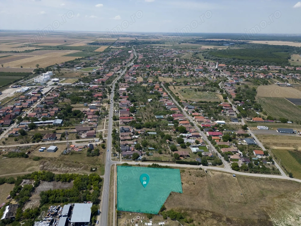Teren intravilan 6.005 mp in Zădăreni Teren intravilan 6.005 mp in Zădăreni