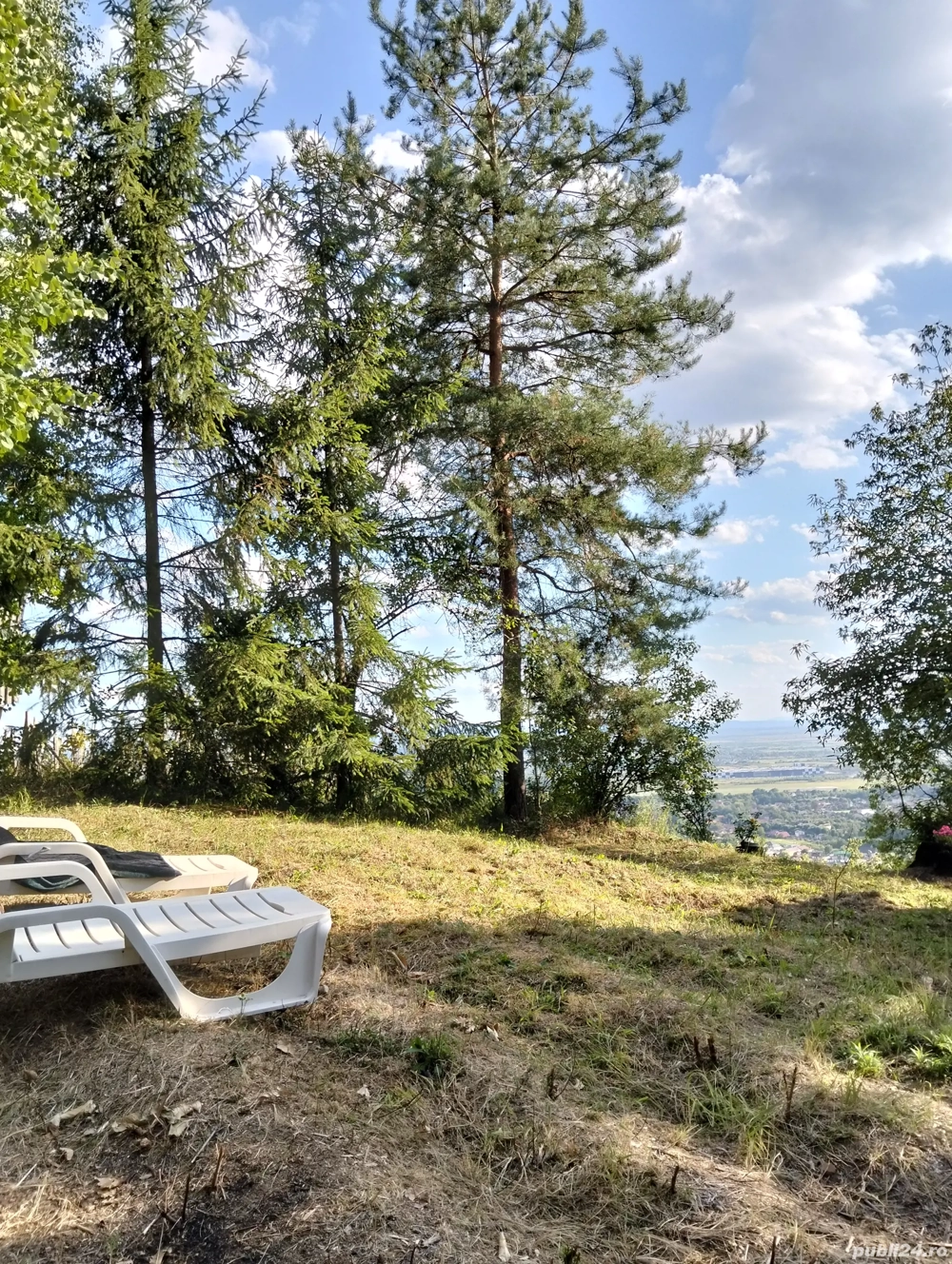 vând teren extravilan în Tăuții Magherausi 