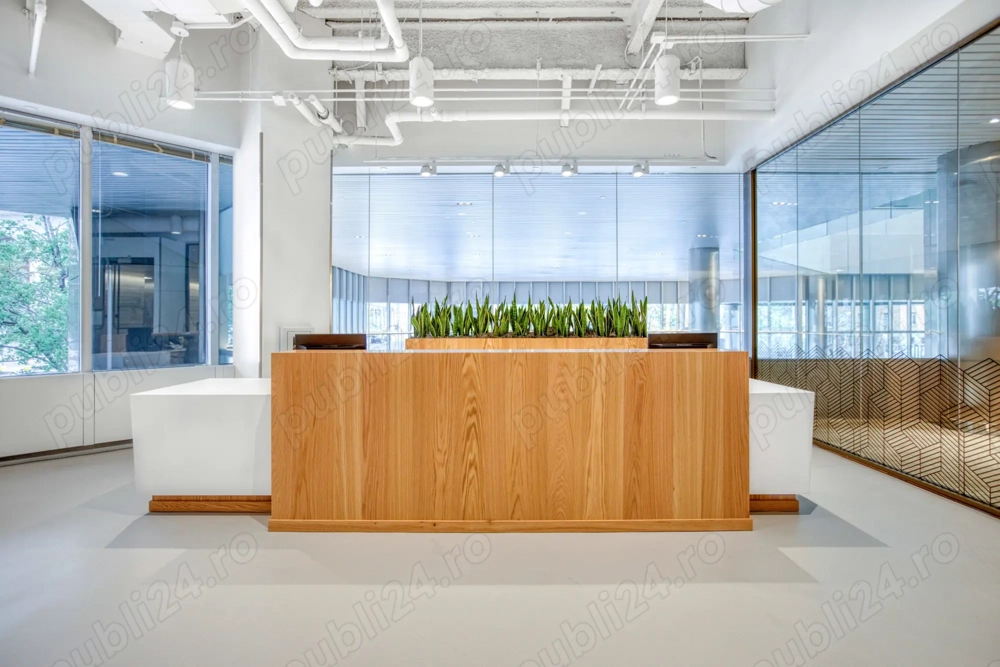 Amenajarea unui spațiu complet și flexibil pentru lucru și întâlniri la Spaces Business Garden