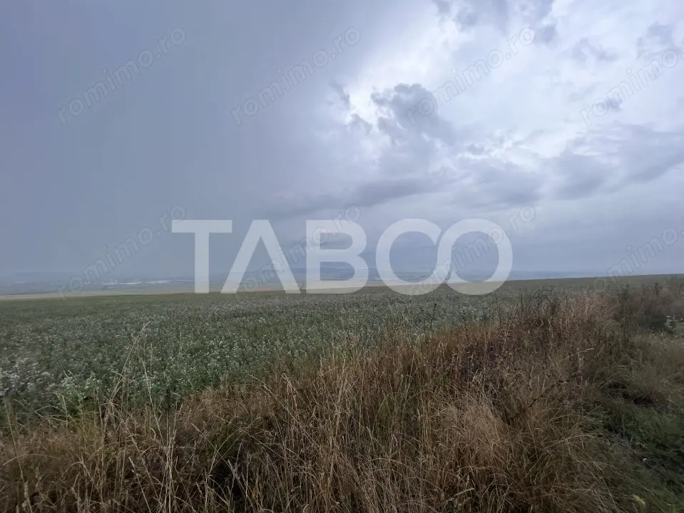 Teren de vanzare extravilan 30000 mp 60 ml deschidere Sura Mare Sibiu