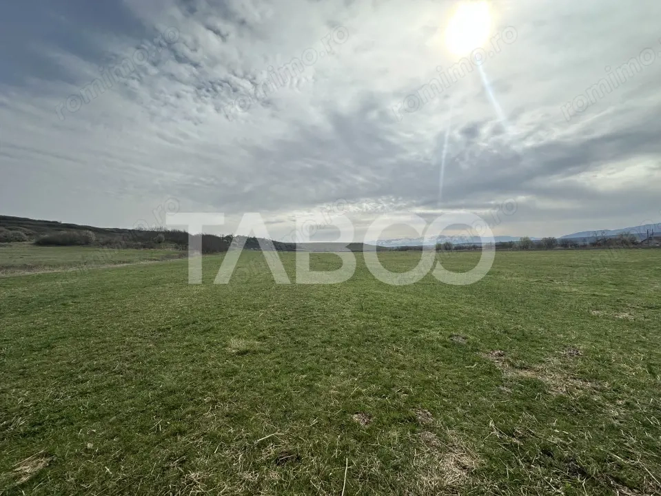 Teren 23.486 mp, deschidere 80 m, ideal comercial/industrial