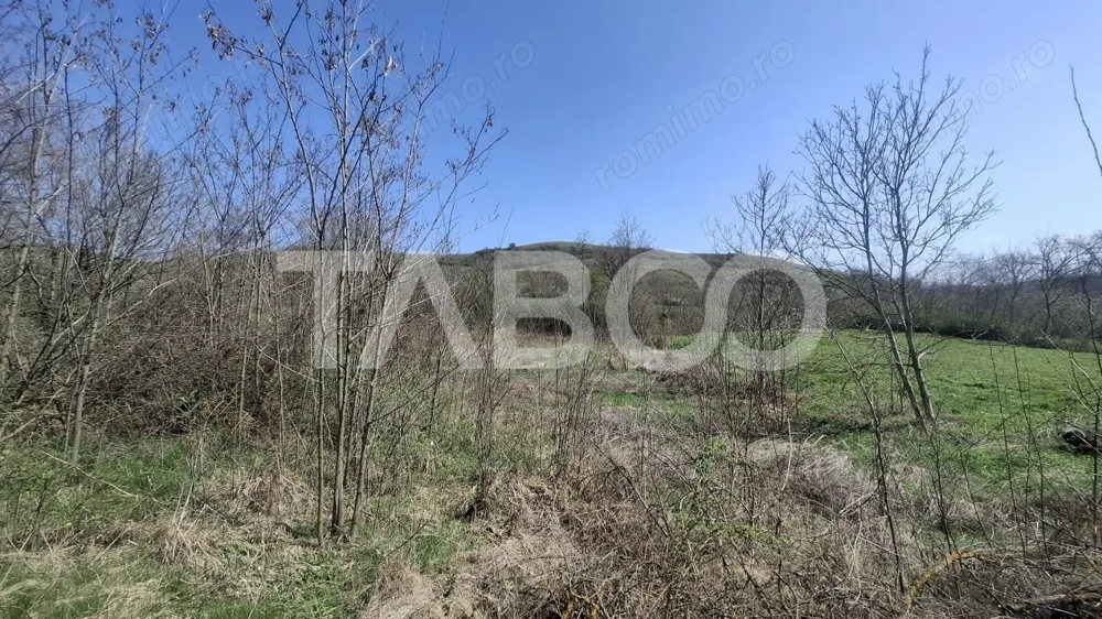 Teren de vanzare 1450 mp intravilan Slimnic Sibiu