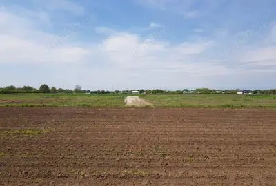 Vand teren Comuna Dascalu