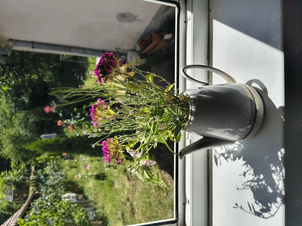 Casa vânzare Sighisoara  Casa vânzare Sighisoara