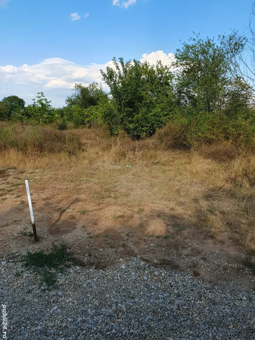 Teren pentru casă de 1021 mp in Scrovistea 