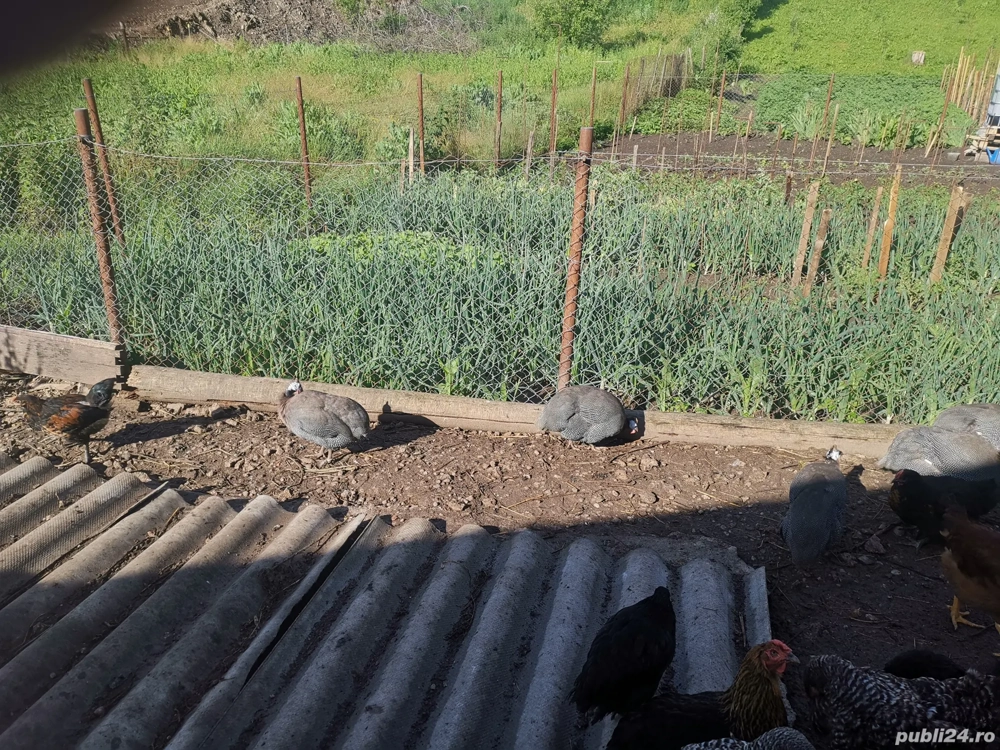 vand casă la țară  vand casă la țară