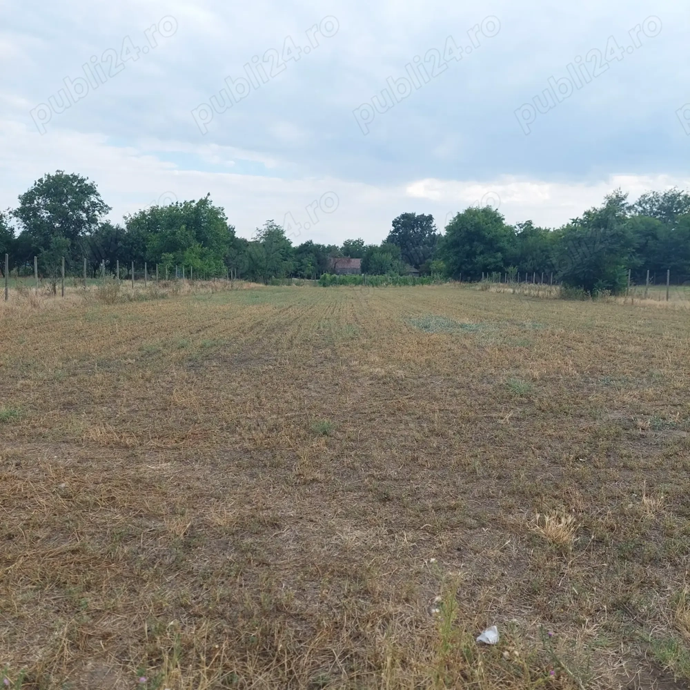 Teren intravilan de vânzare 
