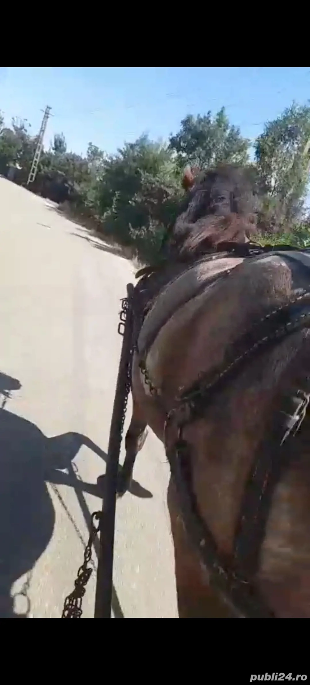 vand iapa  vand iapa