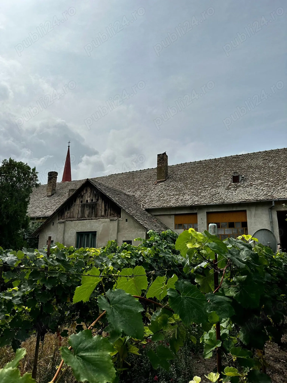 Casă de patrimoniu rural, sfârșit secol XIX   Otelec