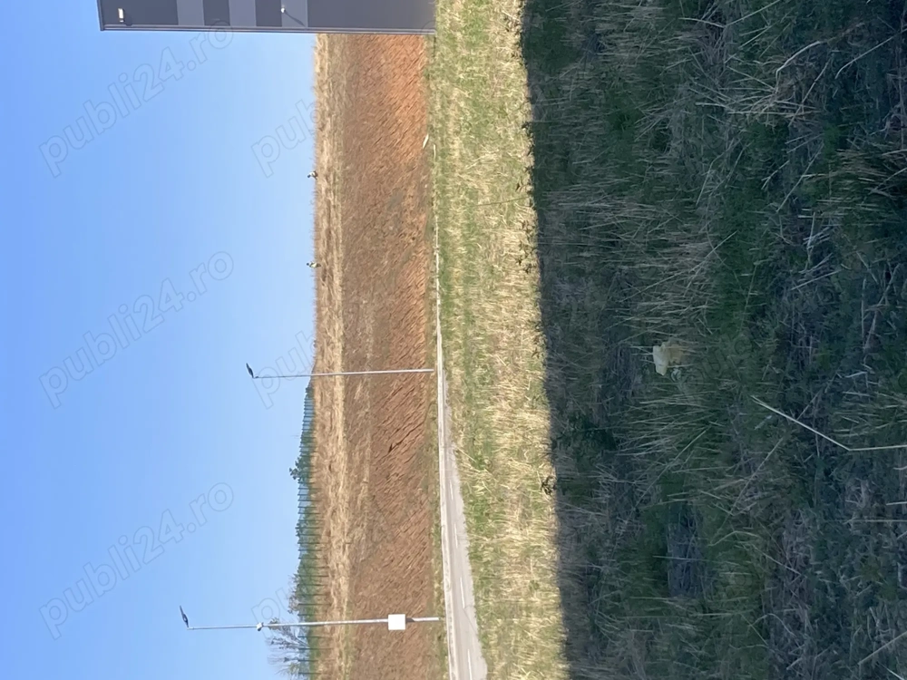 Angajam muncitori pentru amenajari gradini