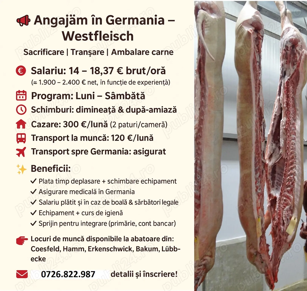  Angajăm în Germania   Westfleisch angajeaza personal