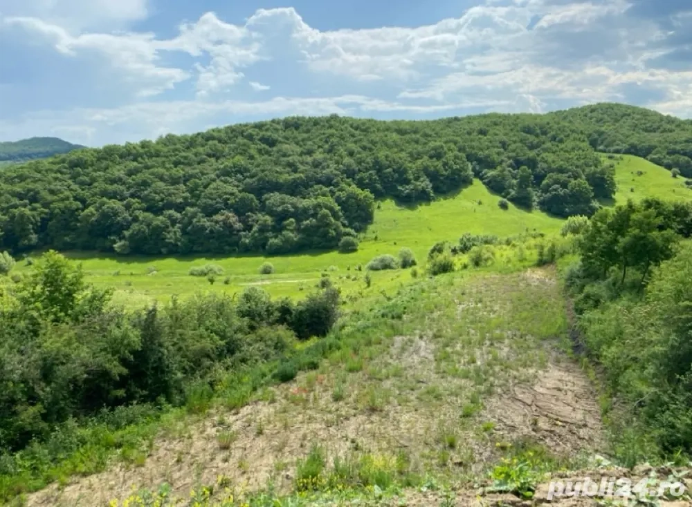 PF vand 700mp teren intravilan 