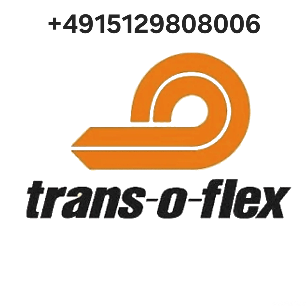 Soferi cat B Germania