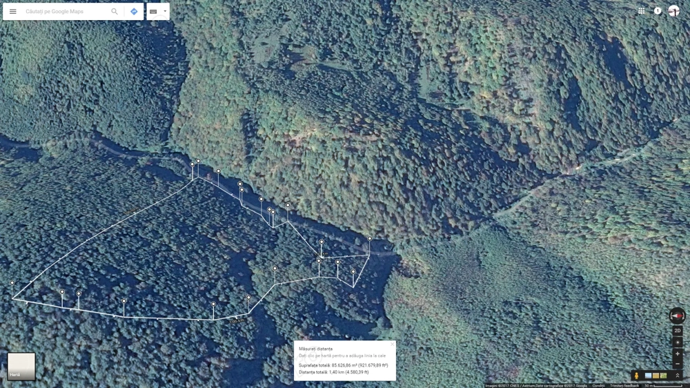 Padure fag 8.5ha comuna Dobra jud. Hunedoara