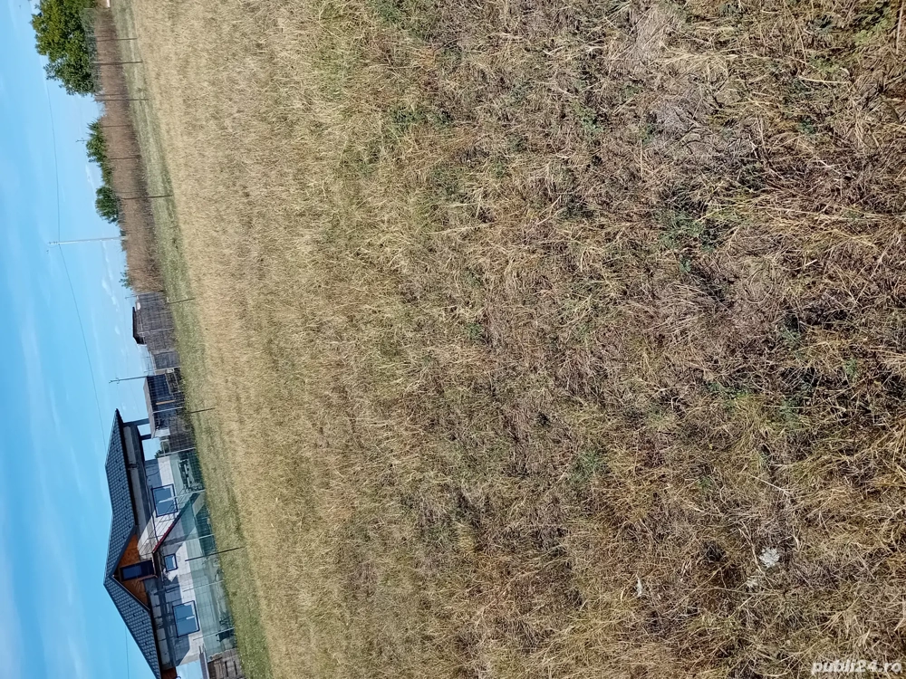 teren vanzare teren vanzare