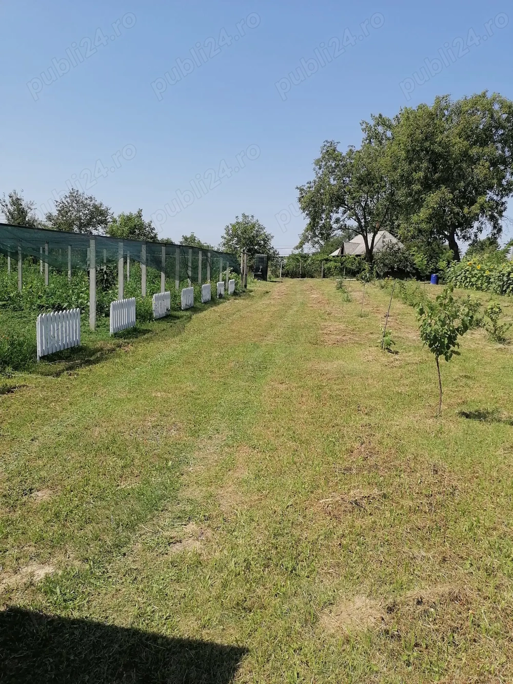 Teren intravilan arabil