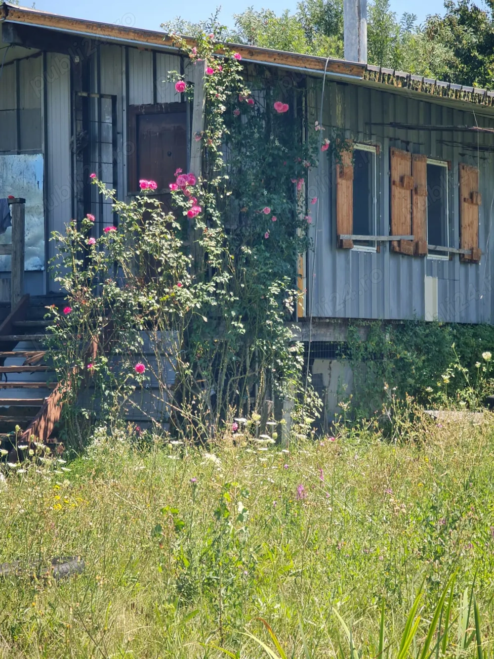 Vand teren  si cabana pe malul lacului de la Pischia. Un front la lac altul la 30m de padure