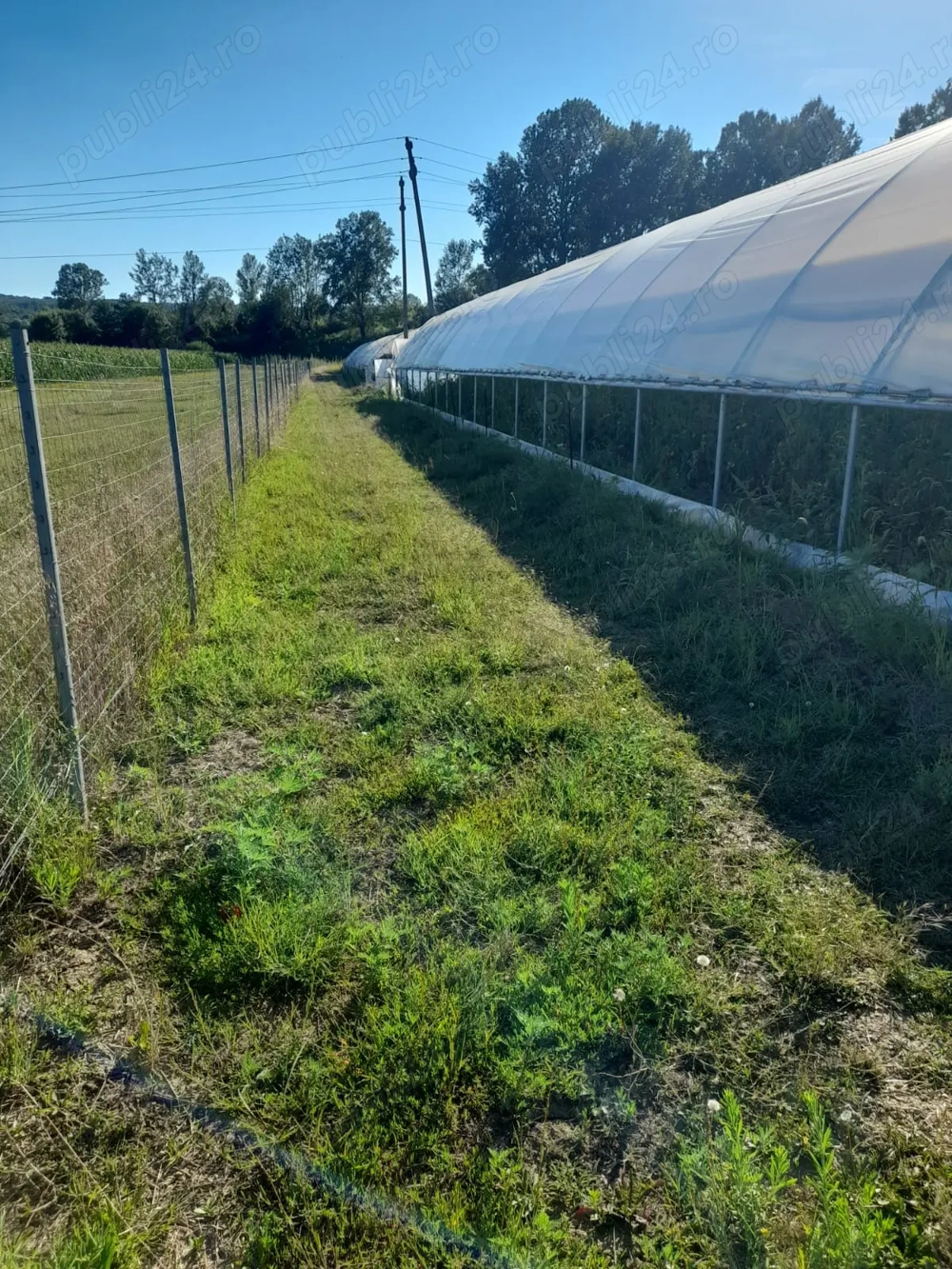 Vând solarii cu teren cu tot.