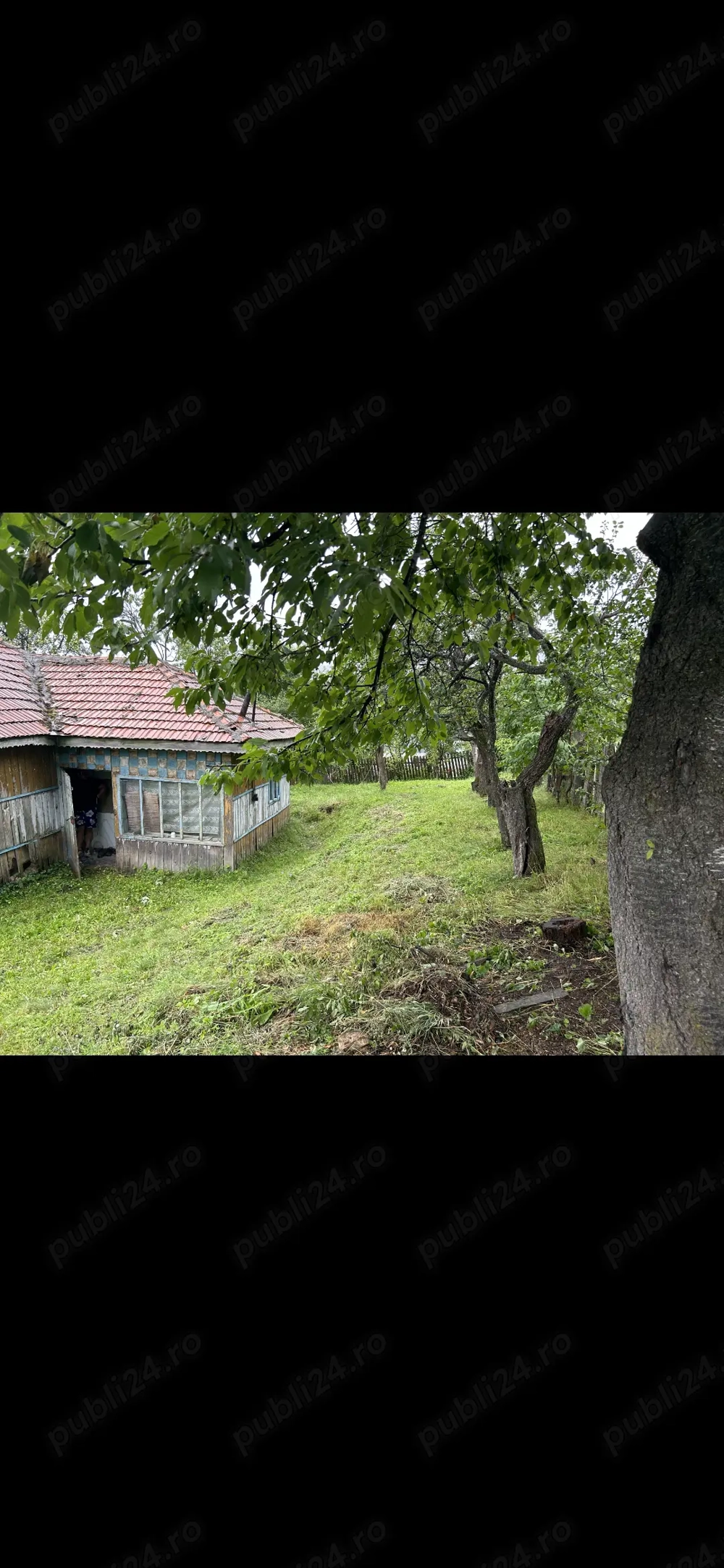 Casa bătrâneasca, teren, livadă pomi fructiferi 