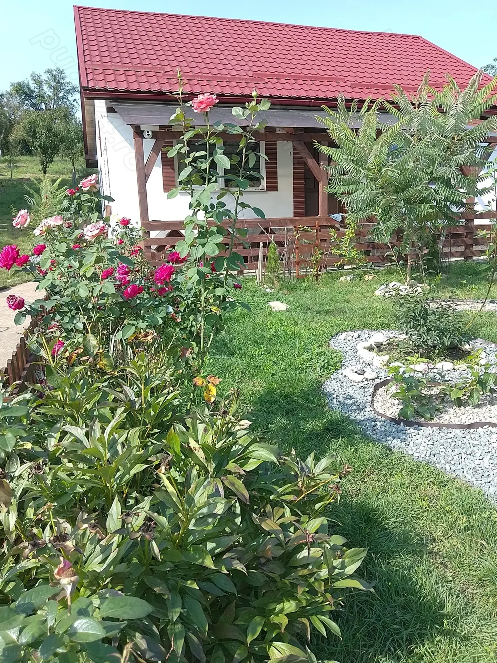 Casa noua cu gradina,, vie si livada bio la 45 min de Cluj 