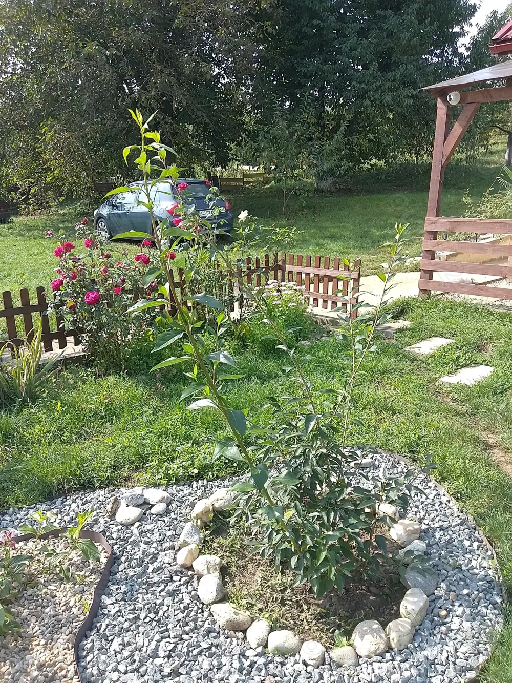 Casa din 2019 cu 4300 mp intravilan, livada bio și vie la 45 min de Cluj 