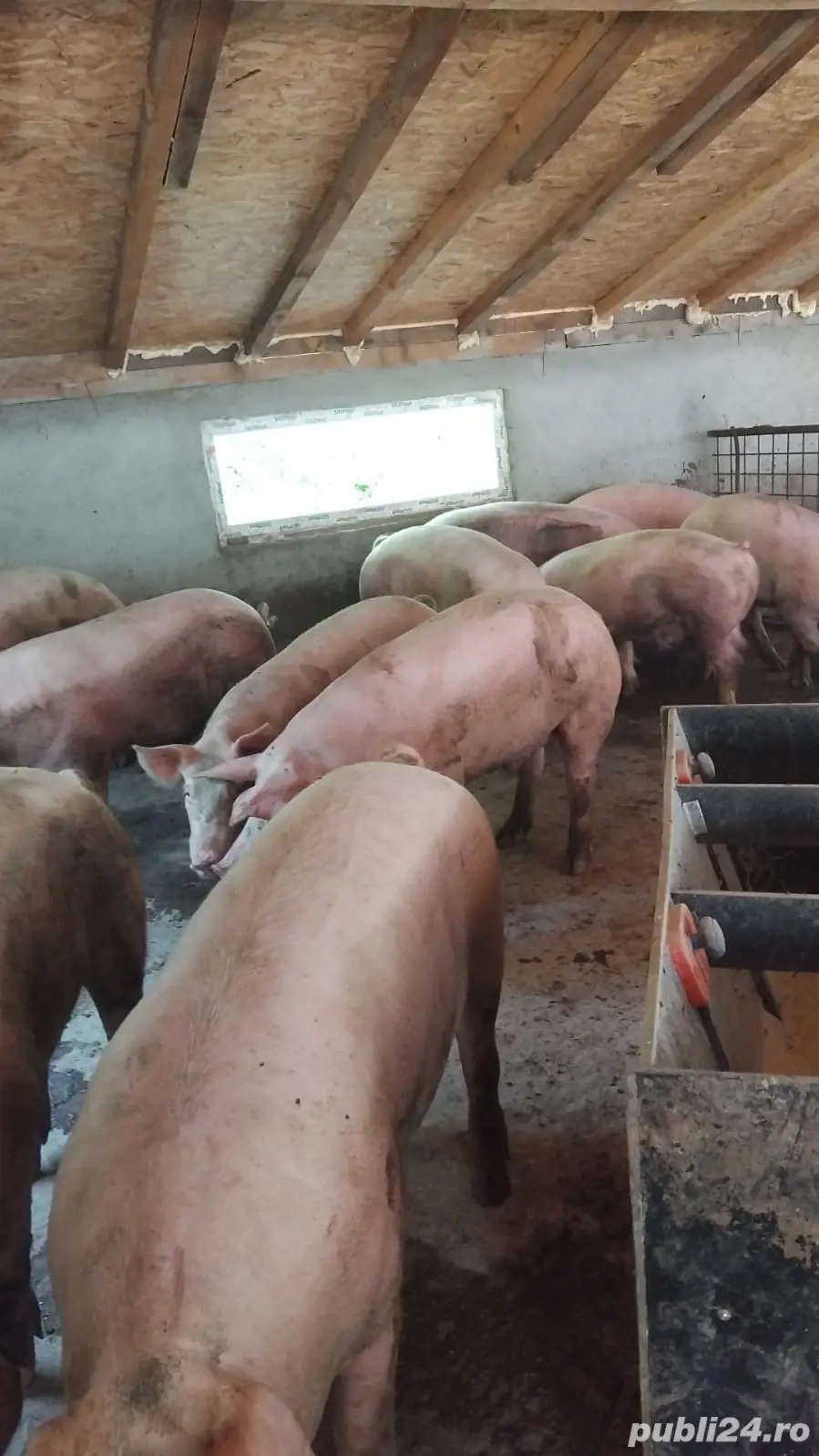 de vanzare de vanzare