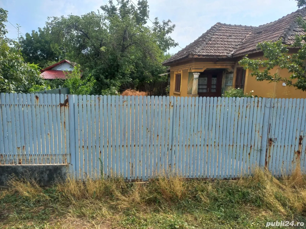 Salceanu Valentin Salceanu Valentin