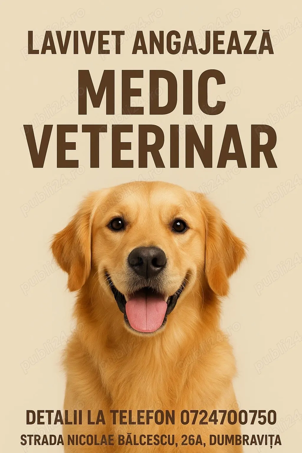 Angajez medic veterinar pentru cabinet în loc.Dumbravita, jud.Timis. Informații la tel:  