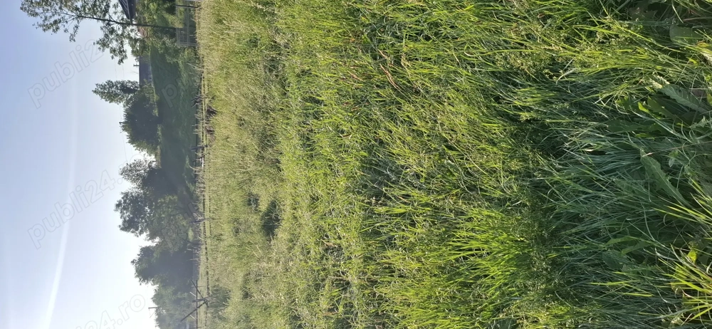 Vând Teren aprox 6 ari str Terasei zonă  frumoasă  Vând Teren aprox 6 ari str Terasei zonă  frumoasă