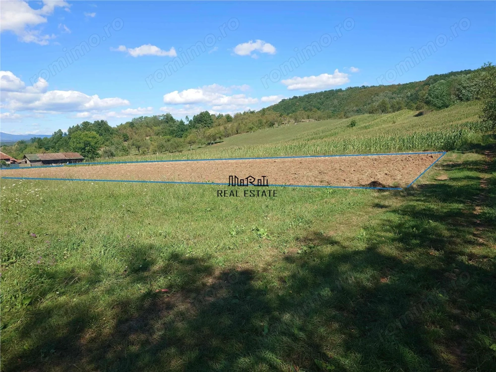 Teren intravilan pentru casa sau vacanta, Lunca, Baia de Cris