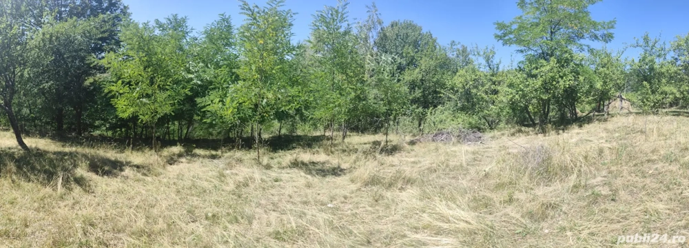 Vând teren extravilan