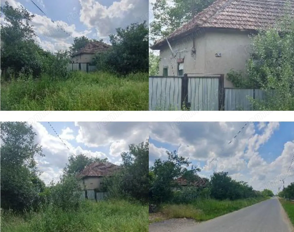 Casa si teren Loc. Sepreus, Jud Arad 17.10 Casa si teren Loc. Sepreus, Jud Arad 17.10