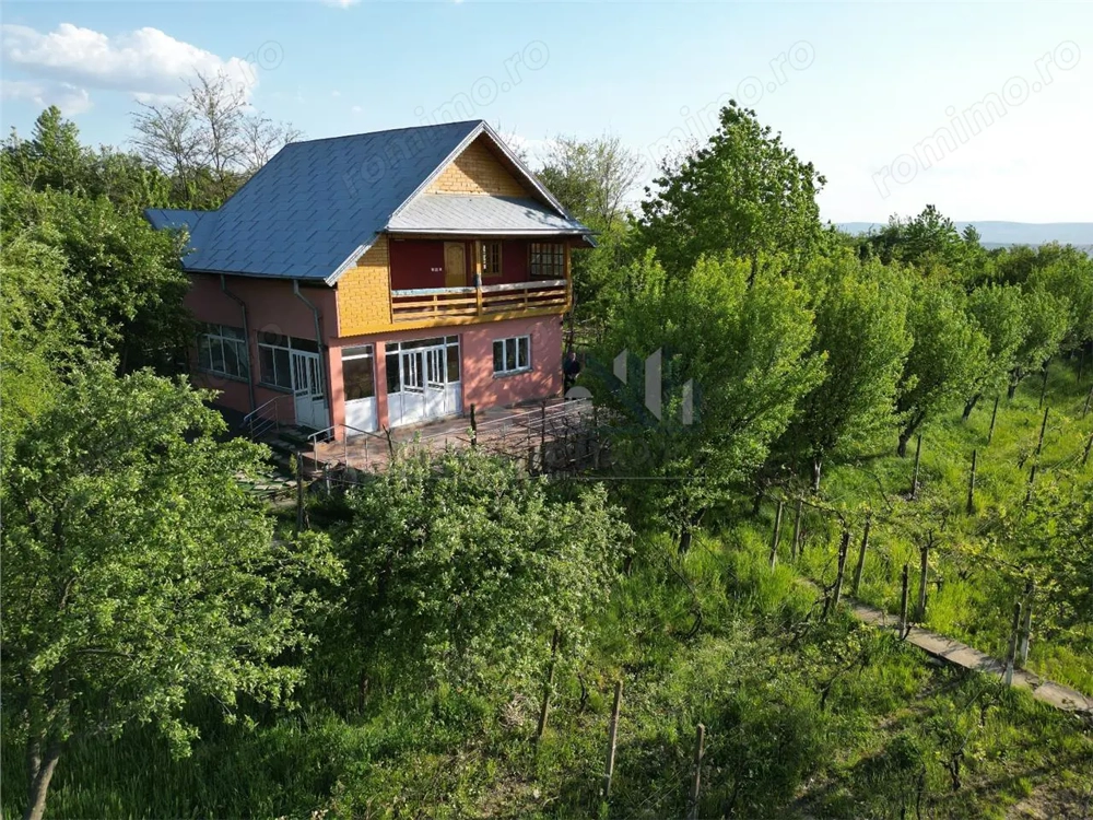 Pietrarie Vila P+1 s=164mp garaj beci teren 2000mp livada vie zona verde