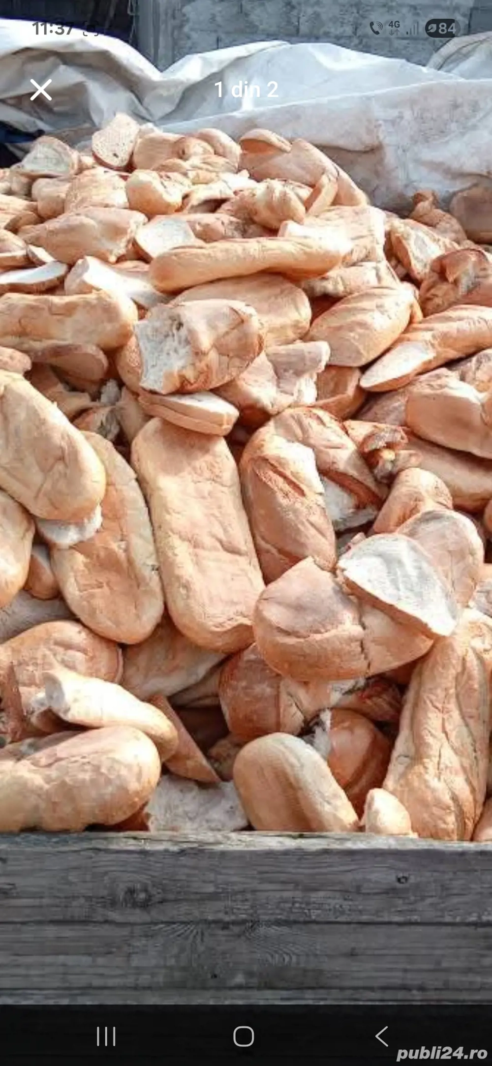 paine rebut 2 lei kg  