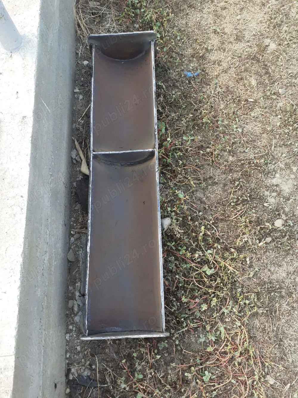 Vand troace porci  .