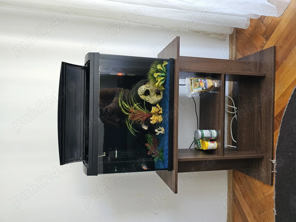 Acvariu pești  Acvariu pești