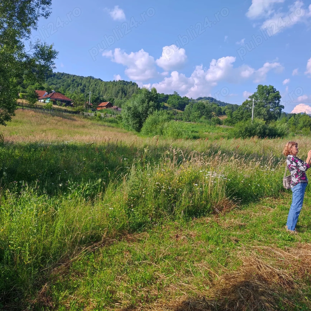Vând teren 2500 mp negoceabil Vând teren 2500 mp negoceabil