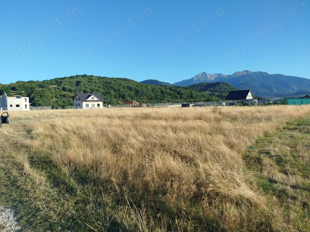 Teren de vanzare intravilan