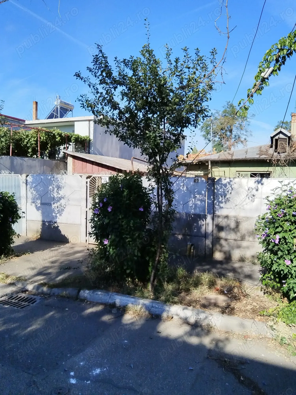 Giulesti Lacul Morii