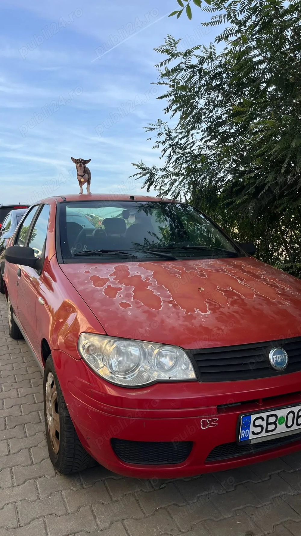 Vând mașina Fiat Albea 2006 pt Program rabla 2025