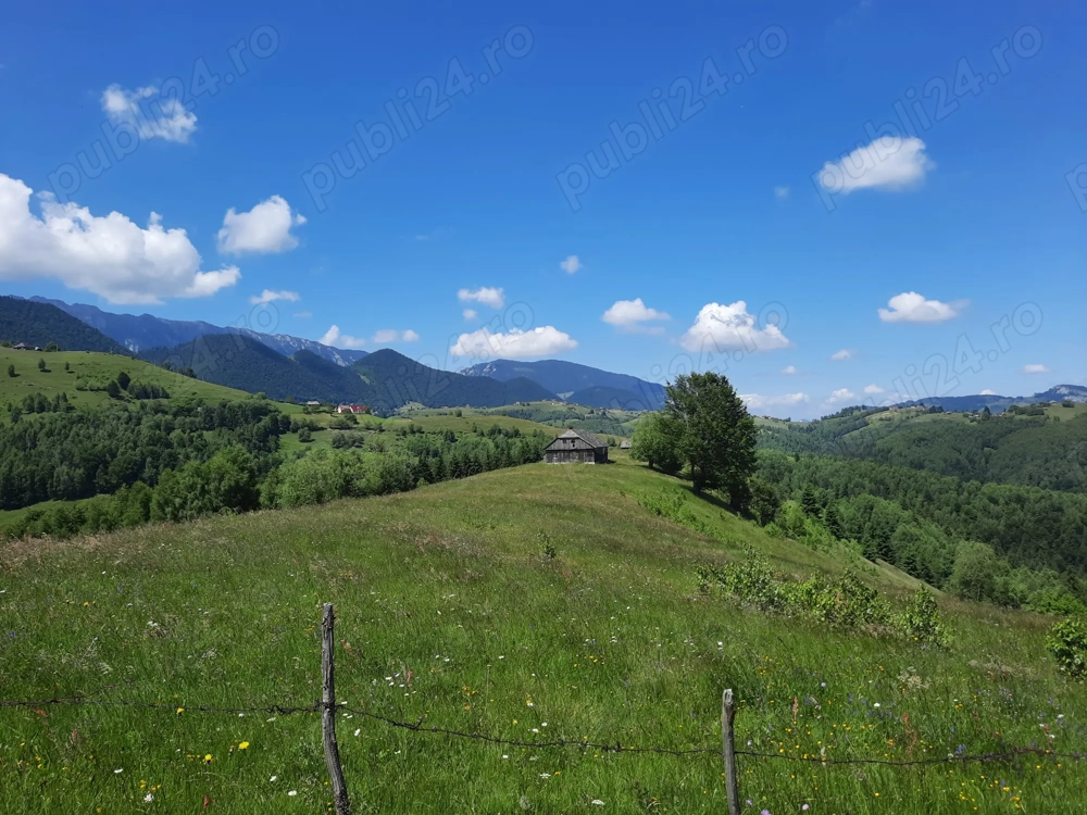 Teren extravilan de vanzare Sirnea