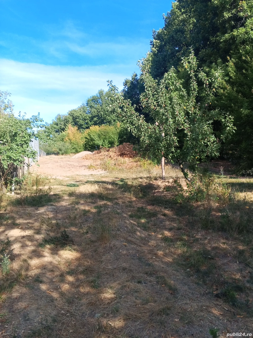 Vand parcele de 500 m teren intravilan in comuna Draganu,sat Dumbrăvești 