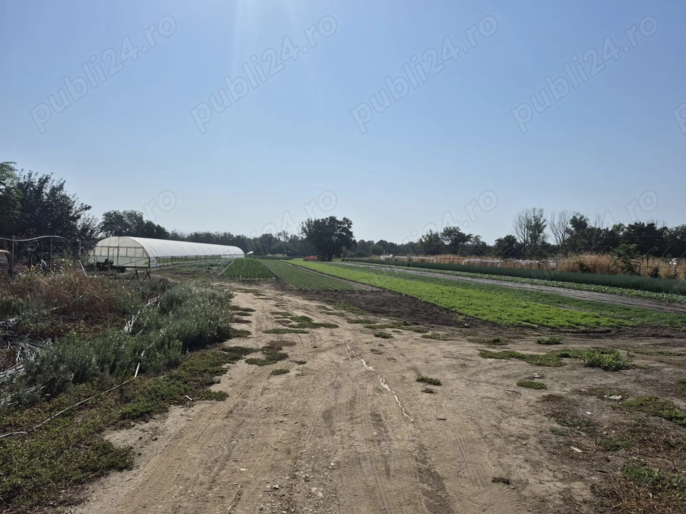 Merita văzut si cumpărat!