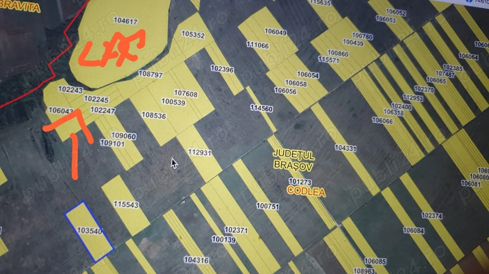 Teren extravilan Codlea, Brașov (vânzare sau schimb) 