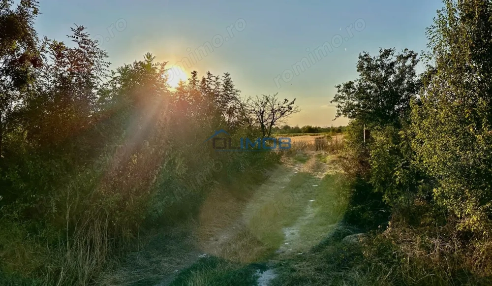 Teren 6700 mp Olteni, jud. Dâmbovița – la doar 900 m de Autostrada A1 (km 63)