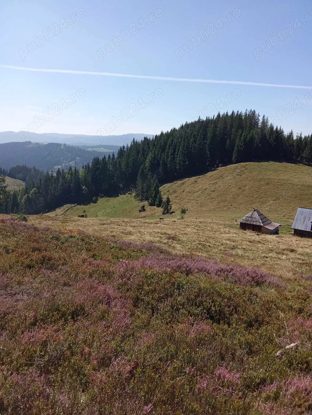 Teren de vânzare   locație deosebită la munte, într-o zonă retrasă și liniștită 