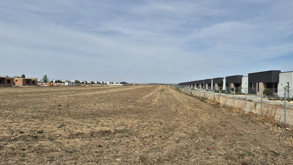 Teren intravilan 16.248 mp - Domnesti